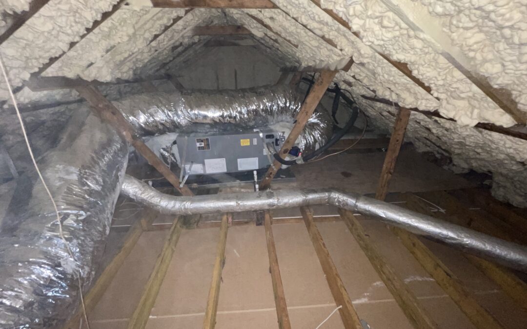 Insulation Removal/Attic Cleanup