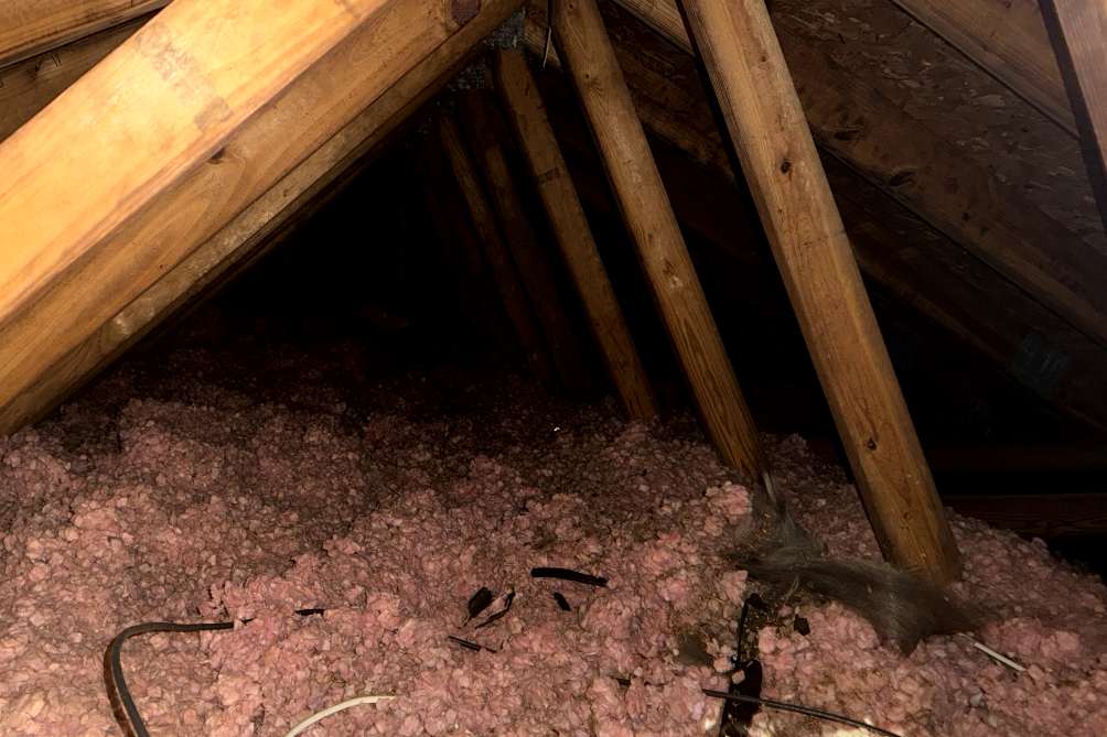 Emerald Home Solution - Attic Cleanup