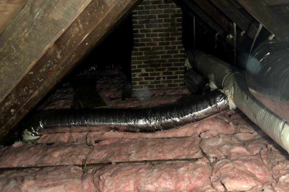Emerald Home Solution - Attic Cleanup in Johns Island
