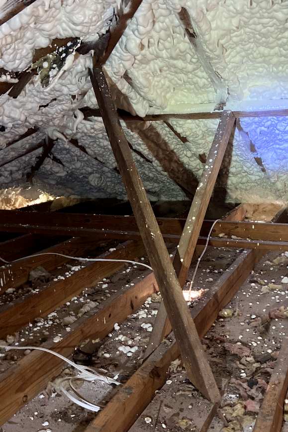 Emerald Home Solution - Attic Cleanup in James Island