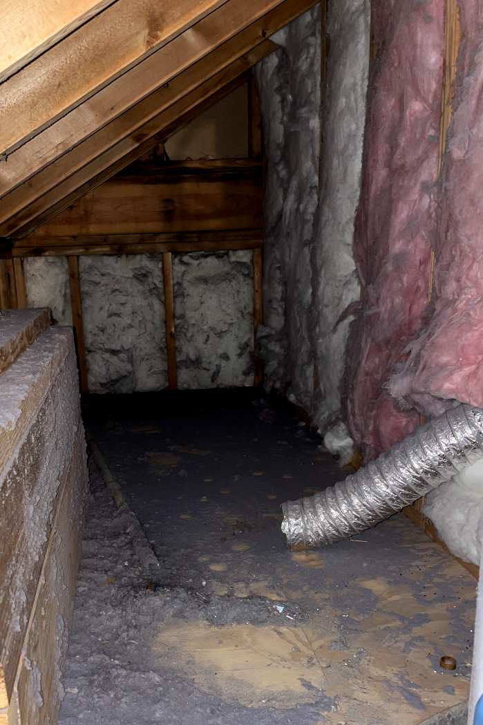 Emerald Home Solution - Attic Cleanup in Isle of Palms