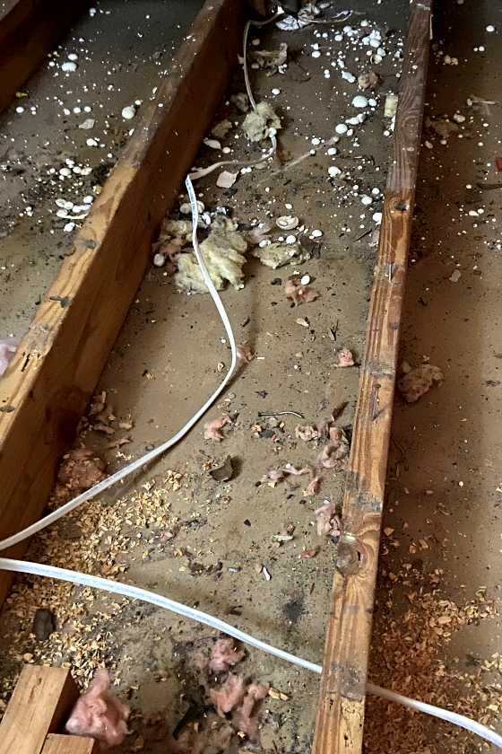 Emerald Home Solution - Attic Cleanup