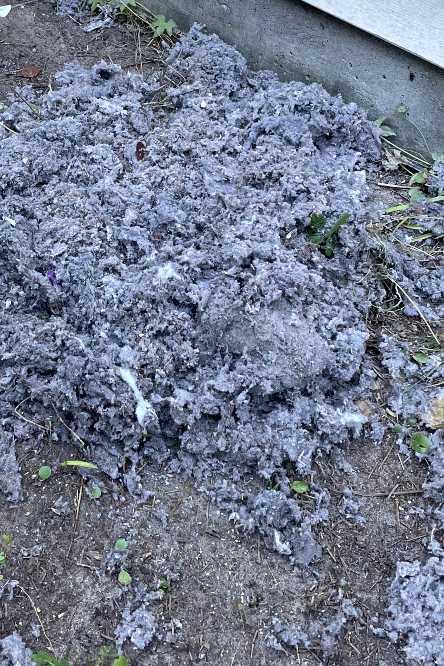 Emerald Home Solution - Dryer Vent Cleaning in seabrook island