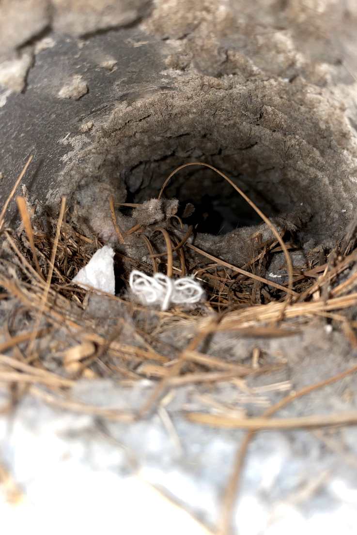 Emerald Home Solution - Dryer Vent Cleaning in Sullivan's Island