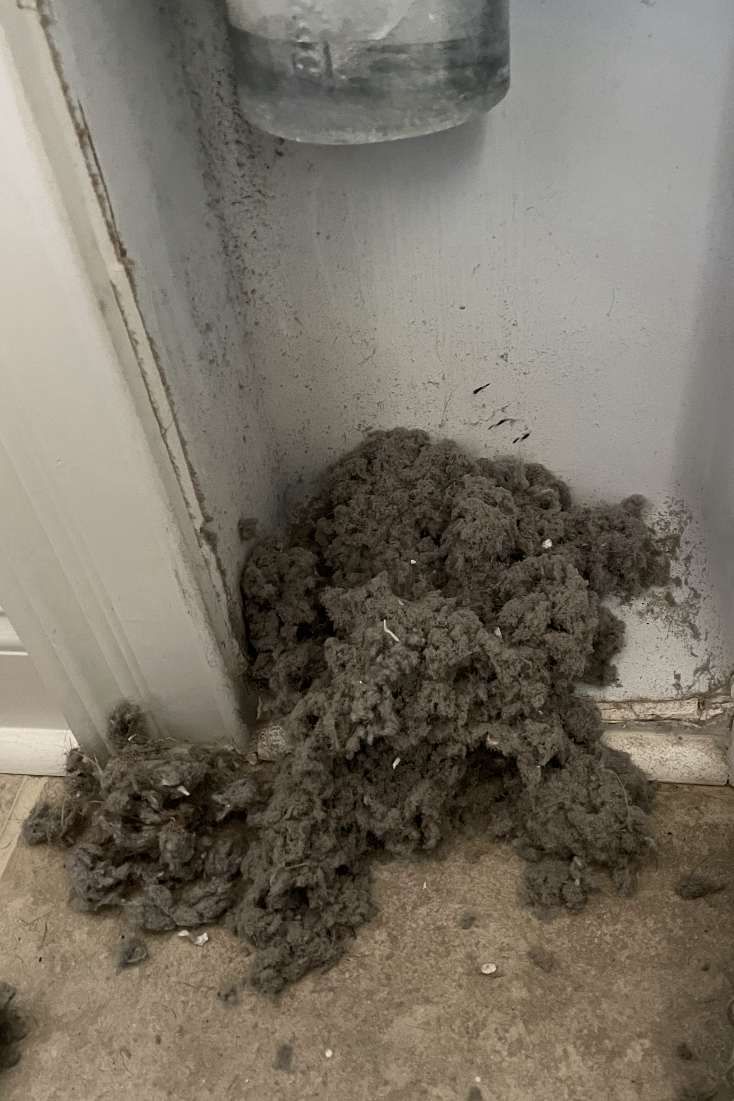 Emerald Home Solution - Dryer Vent Cleaning in Isle of Palms