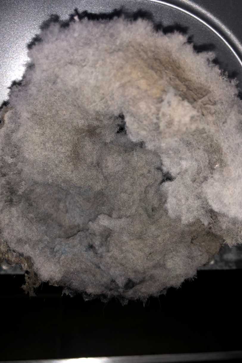 Emerald Home Solution - Dryer Vent Cleaning in Sullivan's Island