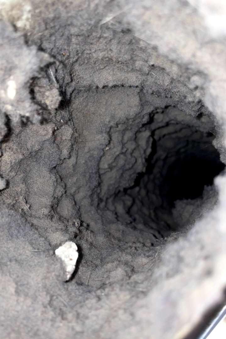 Emerald Home Solution - Dryer Vent Cleaning in west ashley