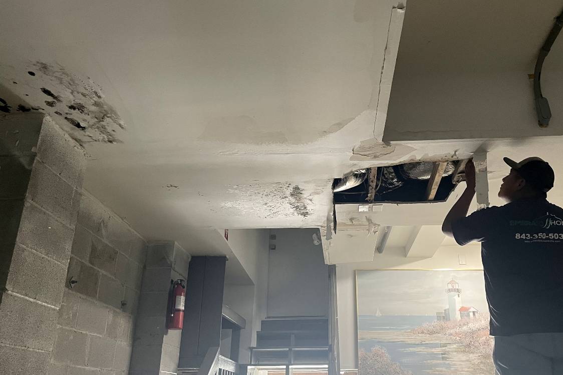 Emerald Home Solution - Mold Remediation Daniel Island