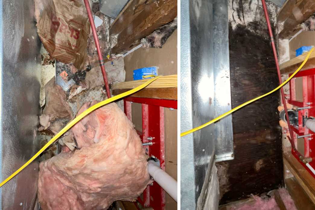 Emerald Home Solution - Mold Remediation Mount Pleasant