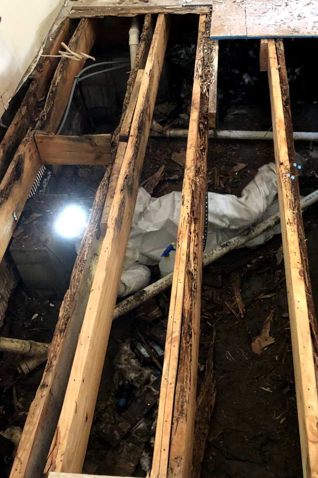 Emerald Home Solution - Mold Remediation Seabrook Island