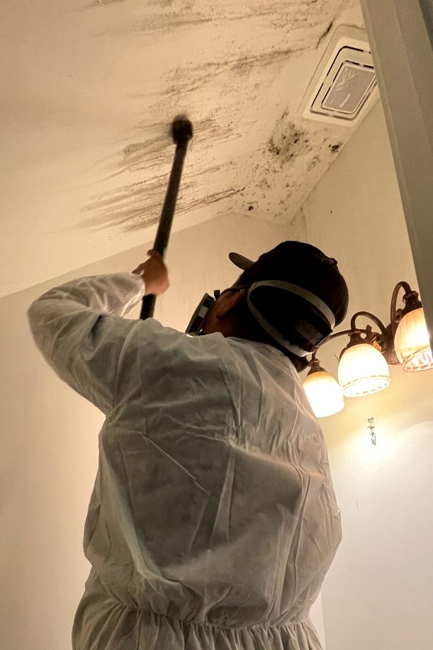 Emerald Home Solution - Mold Remediation West Ashley