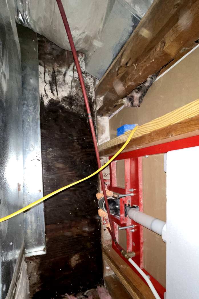 Hidden mold inside walls - professional mold remediation in Charleston SC