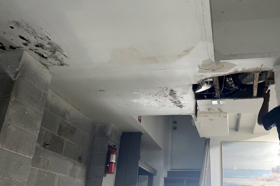Emerald Home Solution - Mold Remediation Seabrook Island