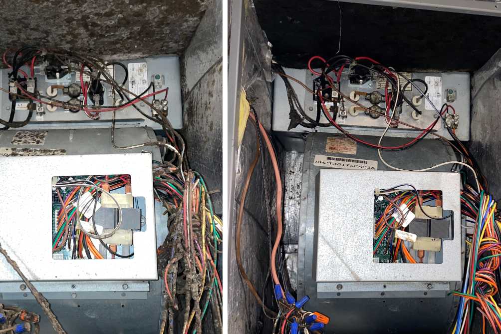 Emerald Home Solution - Mold Remediation West Ashley