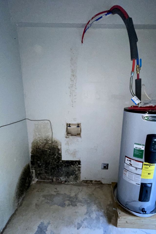 Emerald Home Solution - Mold Remediation North Charleston