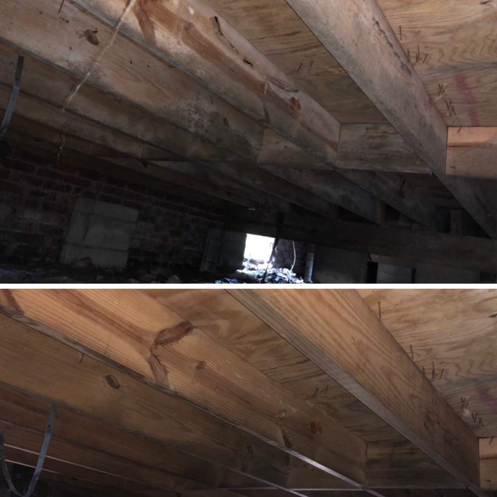 Emerald Home Solution - Mold Remediation Daniel Island