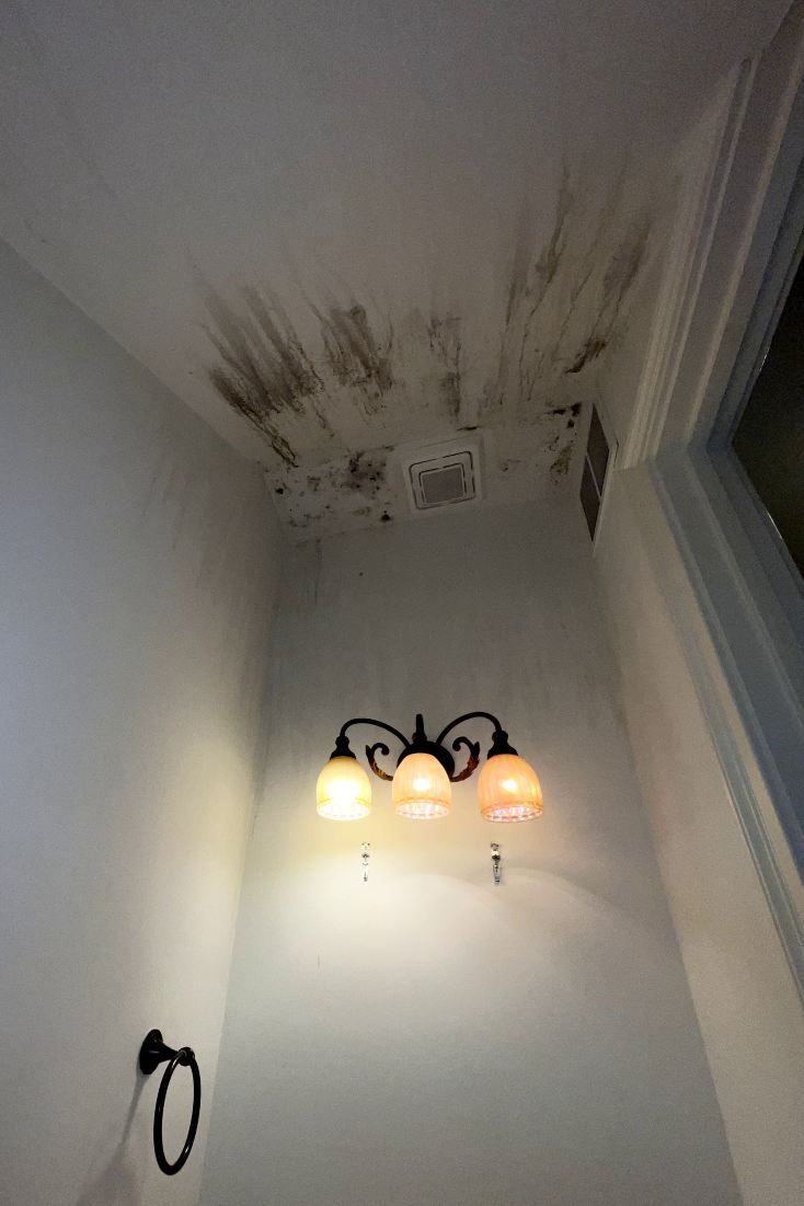 Emerald Home Solution - Mold Remediation Sullivan's Island