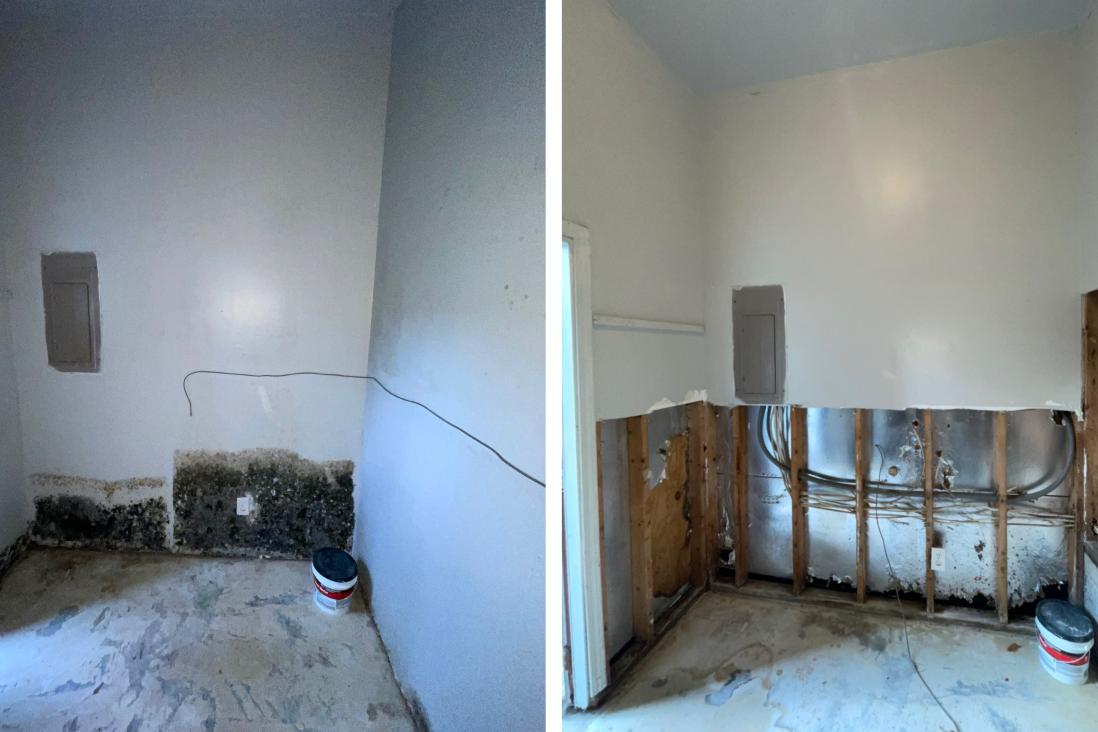 Emerald Home Solution - Mold Remediation in West Ashley