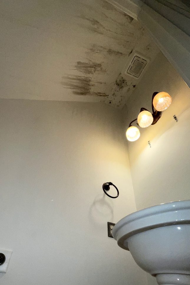 Emerald Home Solution - Mold Remediation Goose Creek