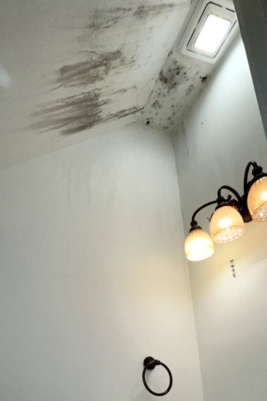 Emerald Home Solution - Mold Remediation in Hanahan