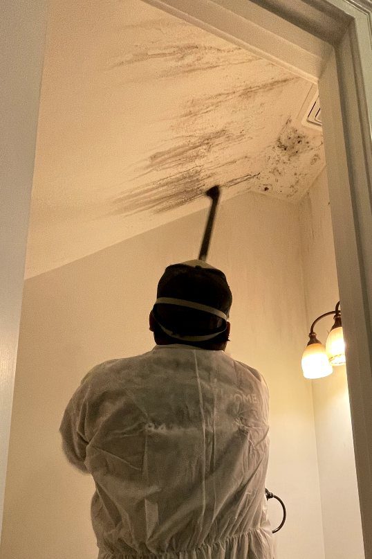 Emerald Home Solution - Mold Remediation Mount Pleasant