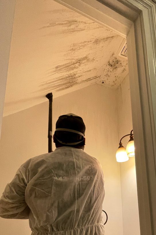 Emerald Home Solution - Mold Remediation in Isle of Palms