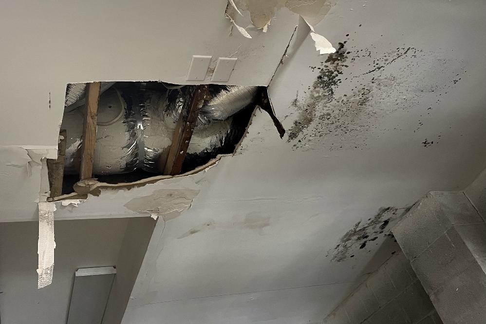 Emerald Home Solution - Mold Remediation in Johns Island