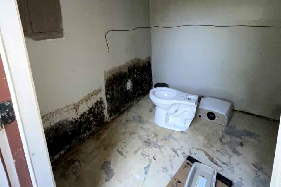 Emerald Home Solution - Mold Remediation Ladson