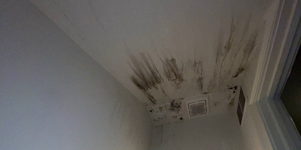 Mold in air conditioner systems - professional mold remediation in Charleston SC