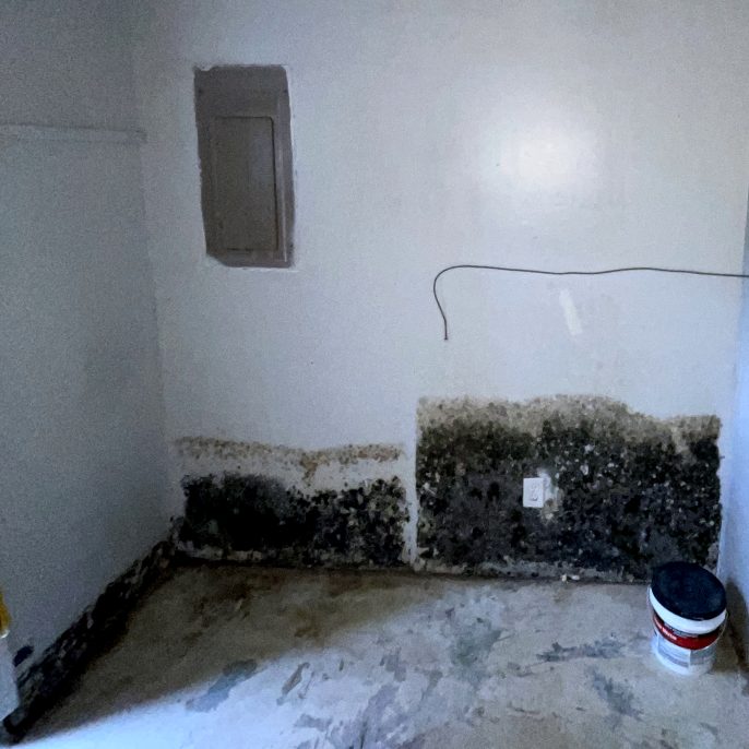Emerald Home Solution - Mold Remediation in Kiawah Island