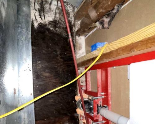 Emerald Home Solution - Mold Remediation in Daniel Island hidden mold inside walls