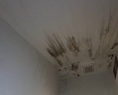 Emerald Home Solution - Mold Remediation - Header Desk Sullivan's Island mold in air conditioner