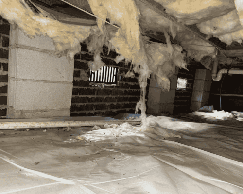 The Hidden Cost of an Unencapsulated Crawlspace in the Lowcountry
